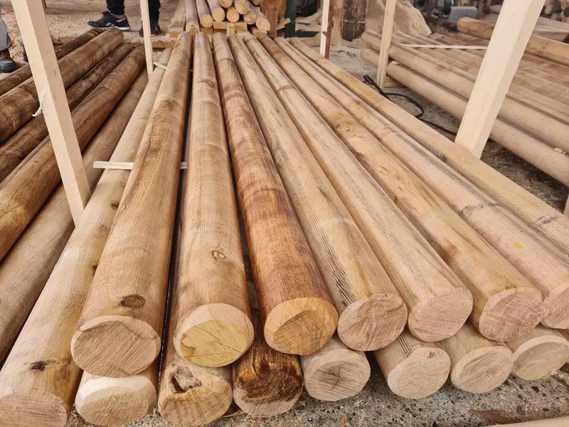 Vand lemne de stejar in Padurea Baneasa 360 lei m cub.