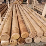 Vand lemne de stejar in Padurea Baneasa 360 lei m cub